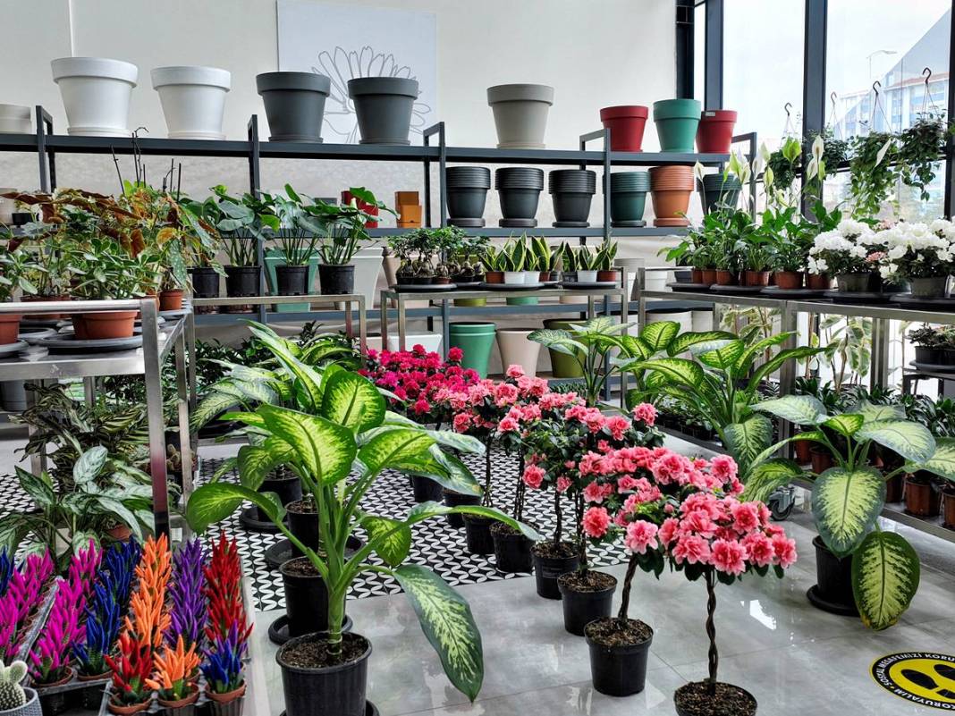 Etimesgut'ta çiçekler yeniden açıyor! Çiçek Hastanesi tam not aldı 1